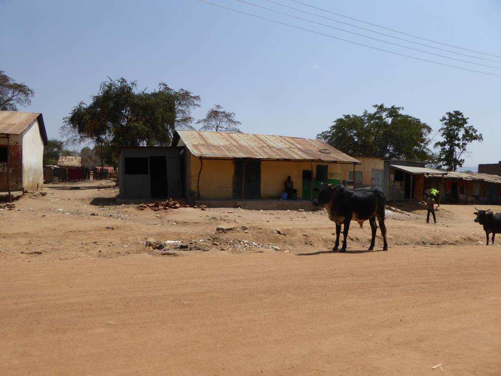 North Pokot RDS program del 1 De första läkarna, Britten och Cinna, kommer att inventera och diskutera exakta arbetssätt mer i detalj Läkarna ska ha en bil/jeep med sig, med en anställd