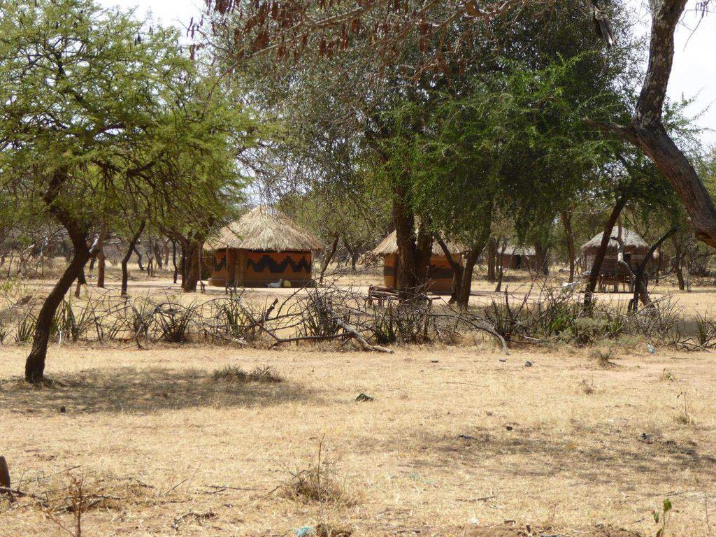 North Pokot - folket Månggifte är vanligt. Dels har männen flera fruar i Kenya och de kan också ha fruar i Uganda. Kvinnor eller flickor gifts bort unga och männen är ofta dubbelt så gamla.