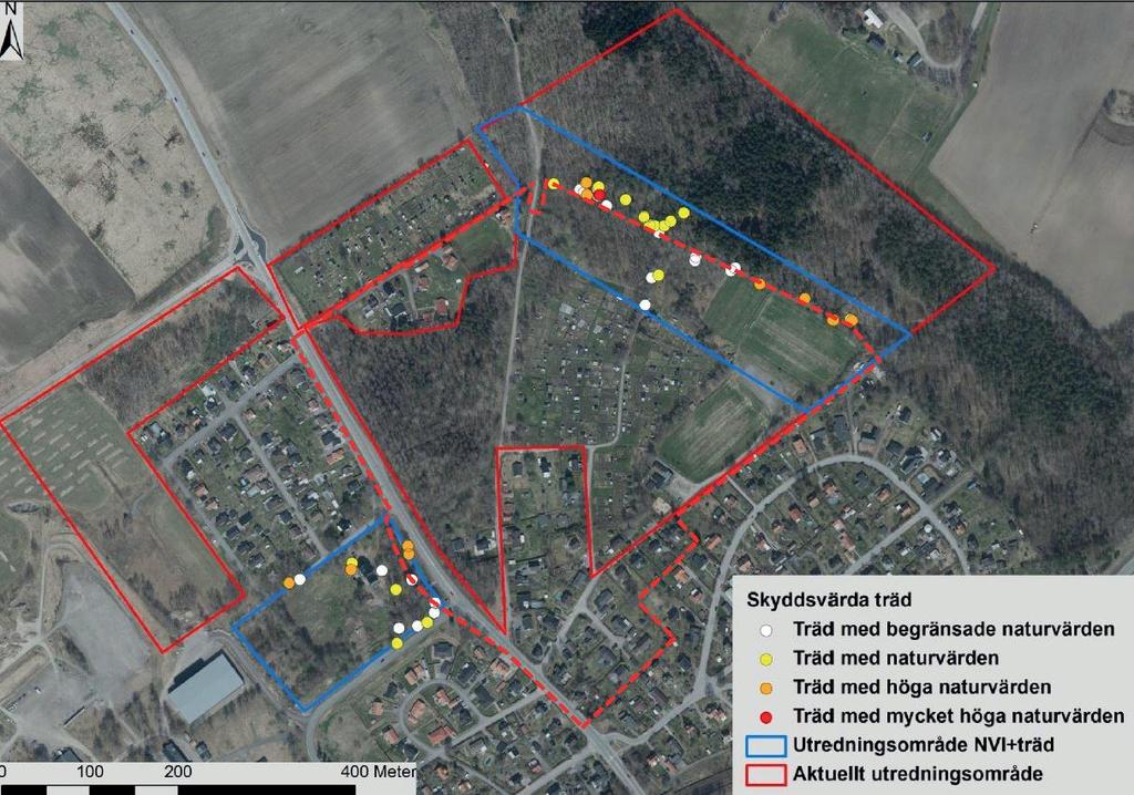 17(50) Figur 9. Klassificerade träd enligt genomförd natur- och trädinventering. Ungefärlig avgränsning av ny detaljplan med blå streckad linje. Örnborg Kyrkander Biologi & Miljö AB.