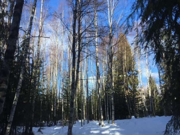 Se översiktskarta i skala 1:50 000 samt skogskarta i skala 1:5 000. OBS! Pga snöläge och osäkerhet i avsmältning samt tjällossning så kan vägar vara oframkomliga/avstängda under en viss tid.