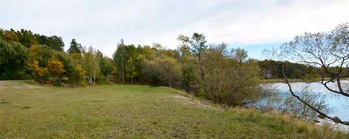 34 SAMRÅDSUNDERLAG ÖVERBY-BECKOMBERGA Figur 23. Grönområde vid Stäket. Figur 24. Hässelby Strand. Vy mot sydväst.