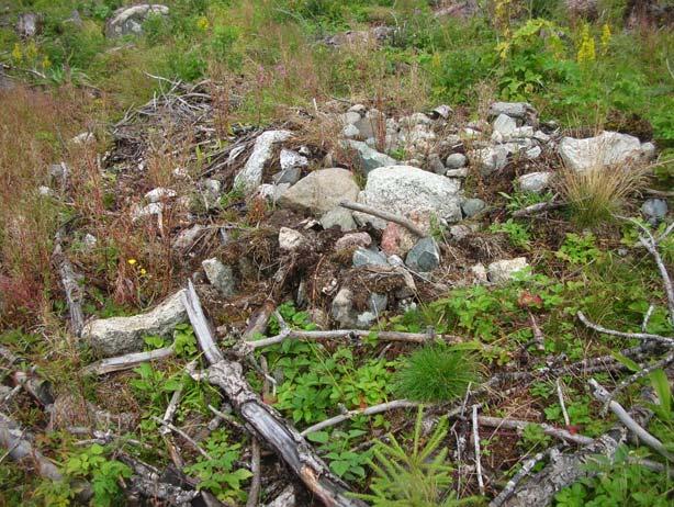 1. Inledning Våren 2006 skadades delar av ödesbölet Landsomslägden vid markberedning.