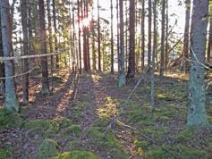 Vid den fortsatta utredningen undersöktes förhöjningarna med grävmaskin. Ett schakt grävdes i vardera anläggning. Av schakten framgick att förhöjningarna är naturbildningar.