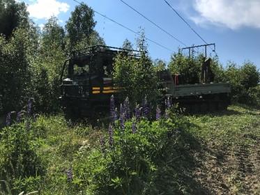 Det slutade dock med att läget med branden lugnade ner sig och vi kunde genomföra kursen. Så här härligt som det är på bilderna kan det vara på en kurs.