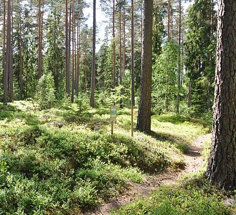 Allemansrätten ger oss en fantastisk möjlighet att röra oss fritt i naturen så länge vi inte stör eller förstör.