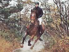 12 FEBRUARI 2018 Hela denna tematidning är en annons från EuroHorse, Svenska Mässan HALLÅ DÄR... HALLÅ DÄR... DIGITAL RIDSPORTSBUTIK.