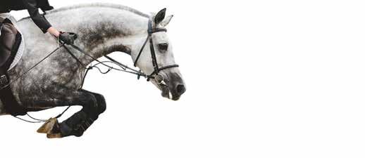 Stierna Equestrian Sportswear arbetar inte efter trender, utan med att ta fram plagg med specifika funktioner som samtidigt är snygga.