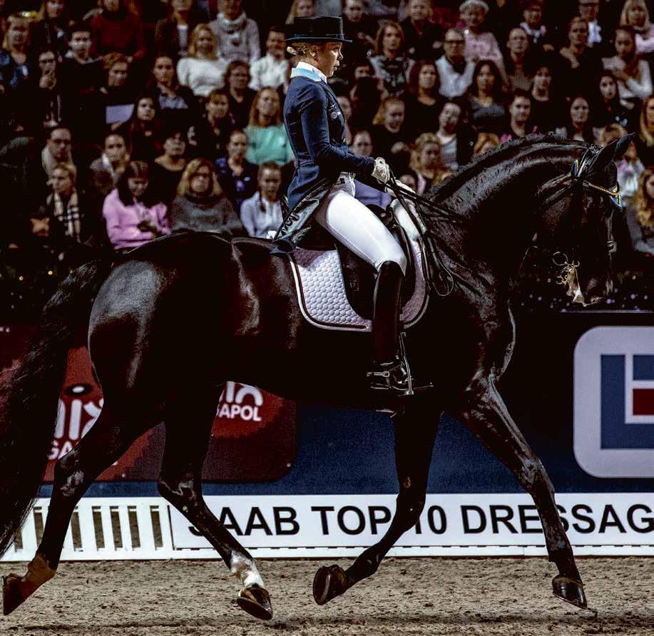 EN KRAFTSAMLING FÖR SVENSK DRESSYR Tillsammans med landslagsledningen, dressyrryttarna och våra ridsportpartners genomför Saab en unik satsning för att lyfta svensk dressyr till nya höjder.