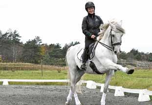 Hela denna tematidning är en annons från EuroHorse, Svenska Mässan FEBRUARI 2018 17 15:00-15:30 Lusanna: mästaren på gungbräda, precision och annat kul!