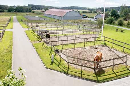 Ridhus och paddock med internationella måttt Skrittmaskin i