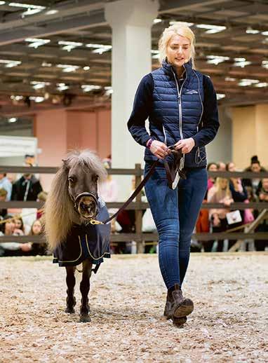24 FEBRUARI 2018 Hela denna tematidning är en annons från EuroHorse, Svenska Mässan ATT TRÄNA MED EN LITEN STJÄRNA FOTO ANNA SIGVARDSSON FOTO ANNA SIGVARDSSON Vinnie en liten häst med stort ego Av