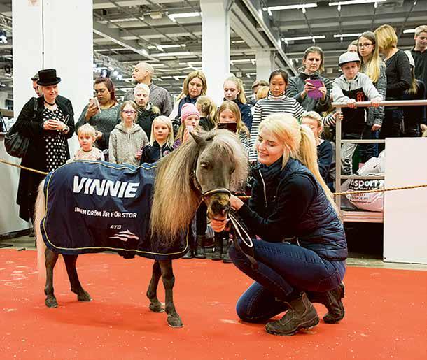 VINNIE BOR PÅ Alby, travtränare Stig H Johanssons gård i Upplands Väsby. Grannen i stallet heter Victory Tilly och är Vinnies stora idol och förebild.