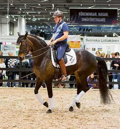 4 FEBRUARI 2018 Hela denna tematidning är en annons från EuroHorse, Svenska Mässan BETTLÖS DRESSYR Per Waaler tänker vara lite