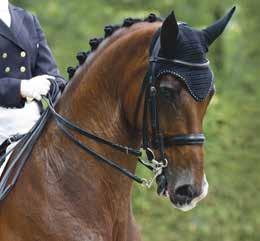 GÖTEBORG HORSE SHOW I samarbete med