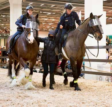 8 FEBRUARI 2018 Hela denna tematidning är en annons från EuroHorse, Svenska Mässan POLISHÄSTAR Polisrytteriet visar upp sig på EuroHorse ÅTERIGEN