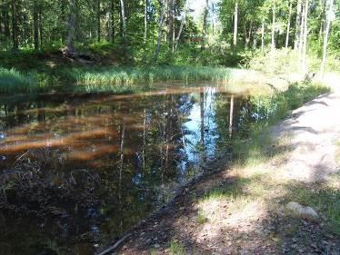 5.13. Gamla dammar Säffle kommun bör utföra inventeringar av dammar i bl.a. nedlagda grusgropar i syfte att hitta större vattensalamander.