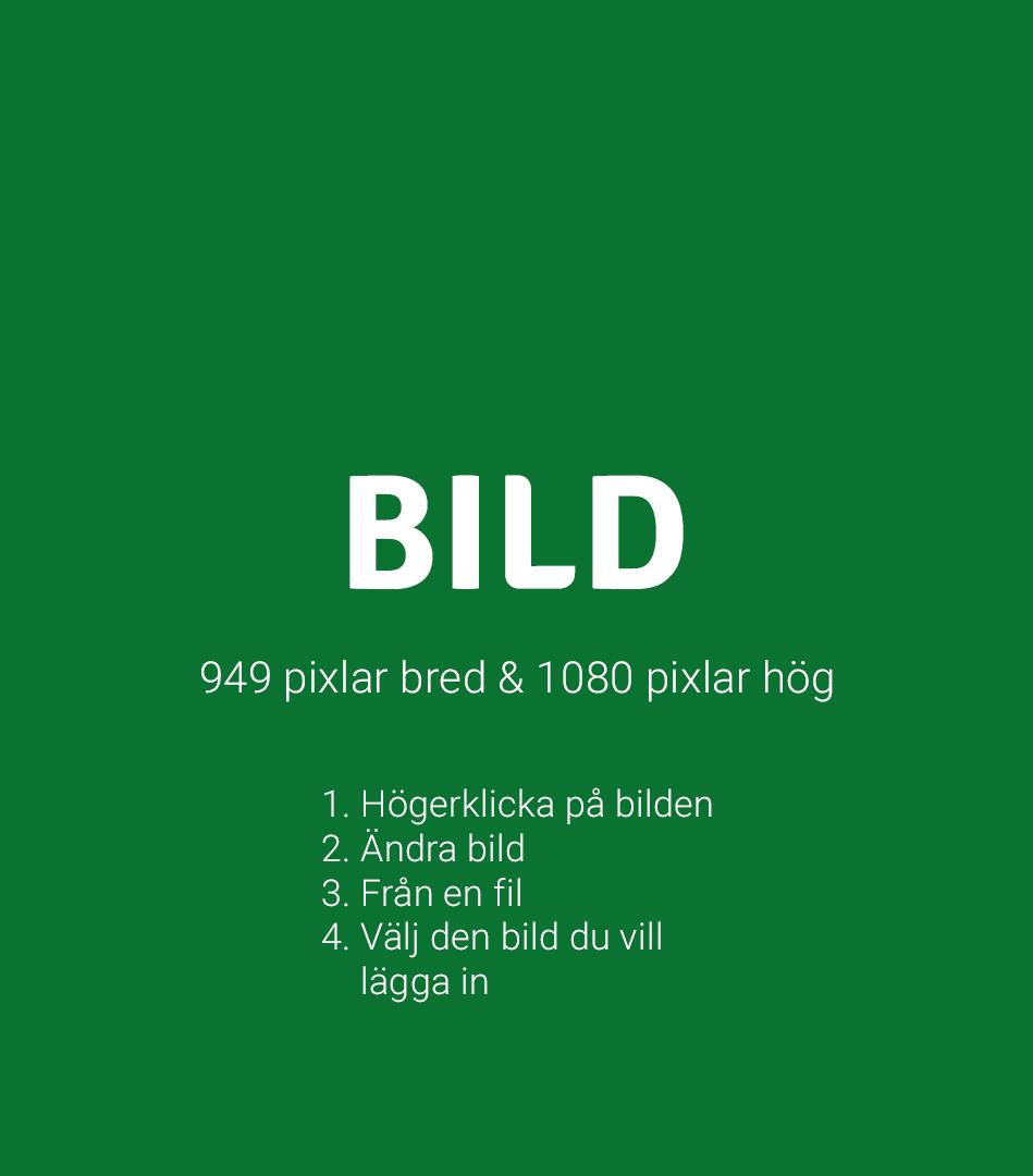 Självscanning a la Carro Hur