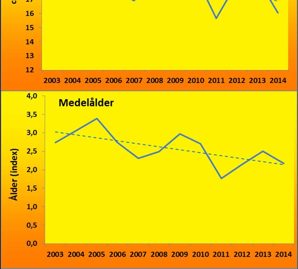 Orsaken till minskningen är troligen inte ökat fisketryck, utan svaga årsklasser under perioden 2007 2009 (se två följande sidor).