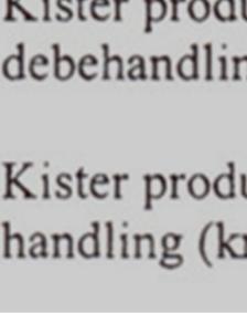 Det man kunde för föreställa