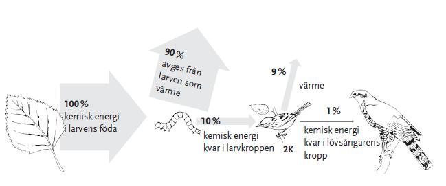 Energiflödet