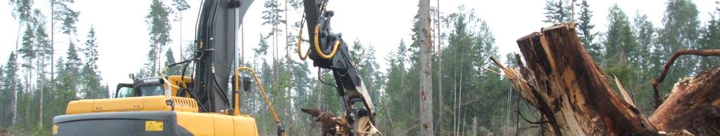 CHRISGAS: Regional amount of forest fuel in Sweden 4.1.
