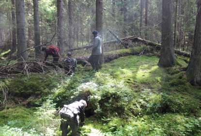 Äldre granar har också grövre bark. Granar lever oftast ungefär 250-350 år, men kan bli betydligt äldre.