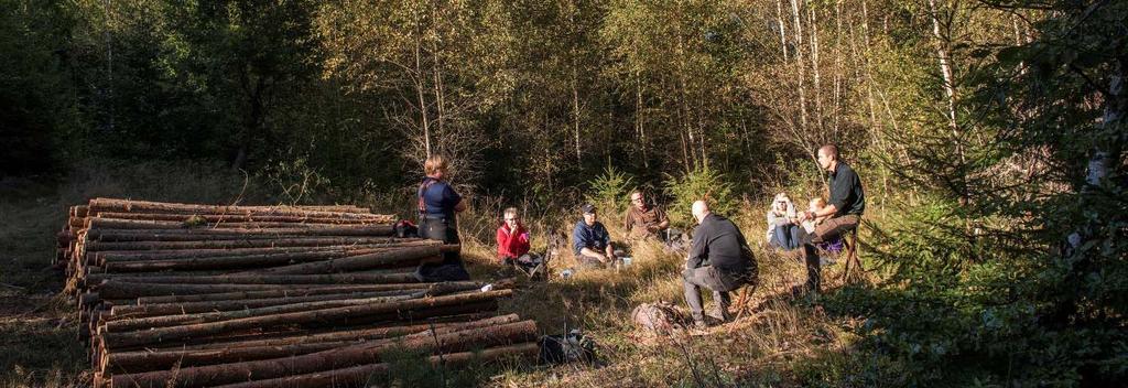 Familjeskogsbruket står för 60% av skogsindustrins virkesförsörjning