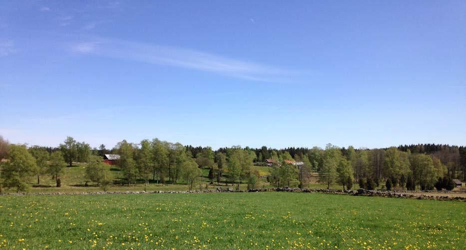 PLANERINGSFÖRUTSÄTTNINGAR FÖR EKSJÖ KOMMUN Landskapet i Eksjö kommun Eksjö kommun ligger på det sydsvenska höglandet över högsta kustlinjen som här ligger cirka 100 meter över havet.