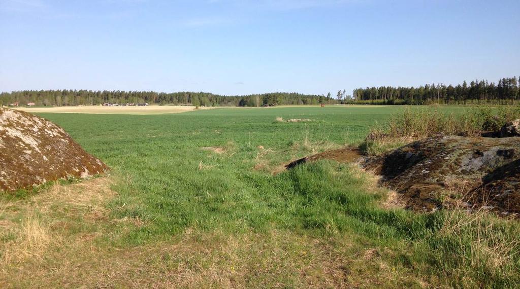 1. Väster om Vixensjöarna kuperat morän- och skogslandskap Terrängen väster om Eksjö är mycket kuperad.