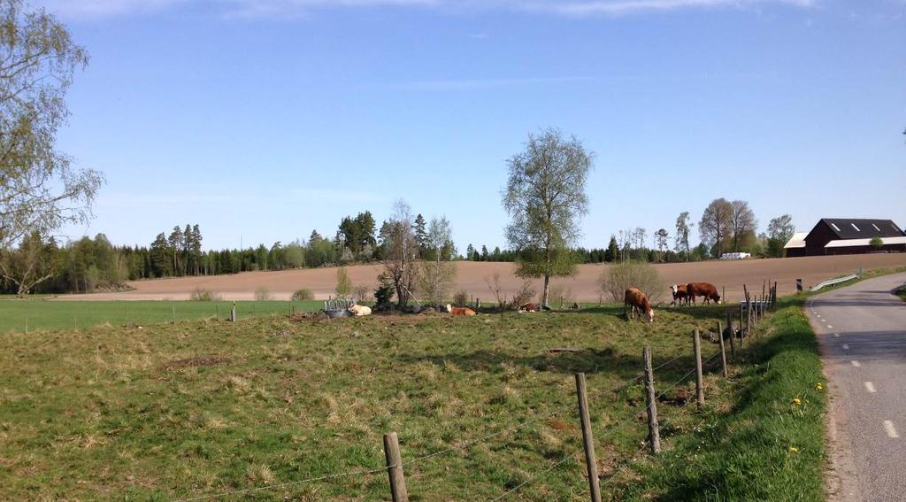 och Ingarpasjön-Bodasjön ligger ett böljande relativt småskaligt odlingslandskap insprängt mellan flacka barrskogar.