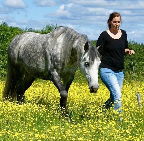 Föreläsning om hästens inlärning och belöning Söndagen den 8 oktober kommer Anne Dirksen från Relationsbaserad Hästträning och håller en föreläsning om hästens inlärning och belöning.