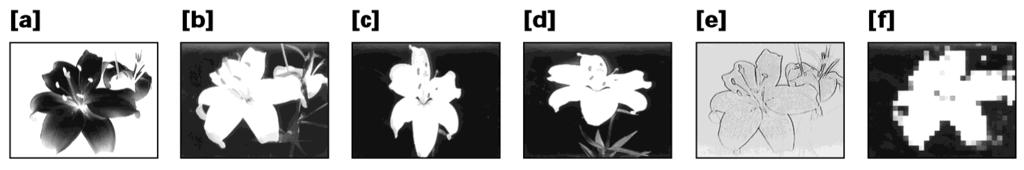 Using special effects Picture effect You can digitally process pictures to obtain special effects like those in films or on the TV. NEG.