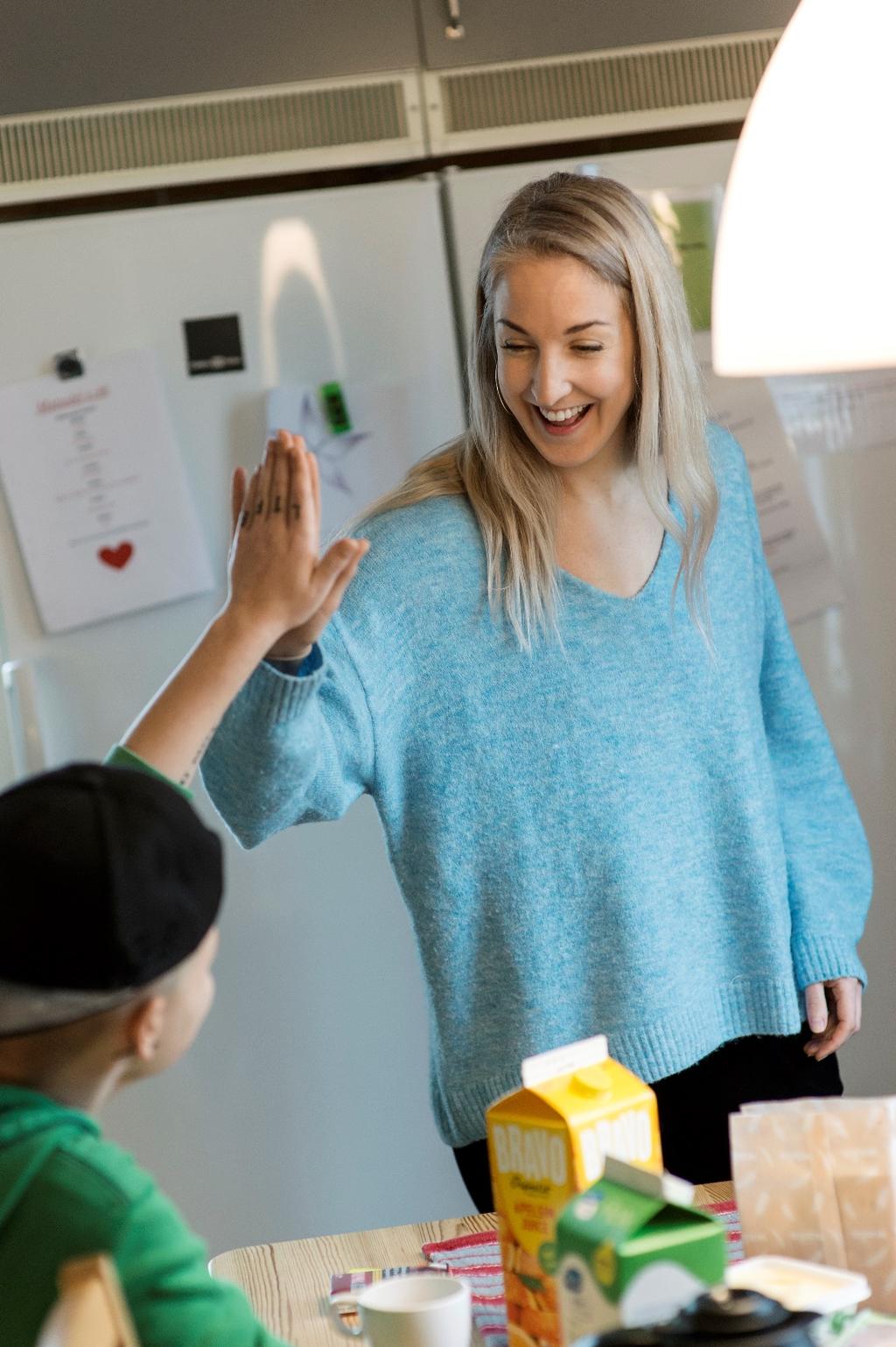 Agenda 2017 året som gick