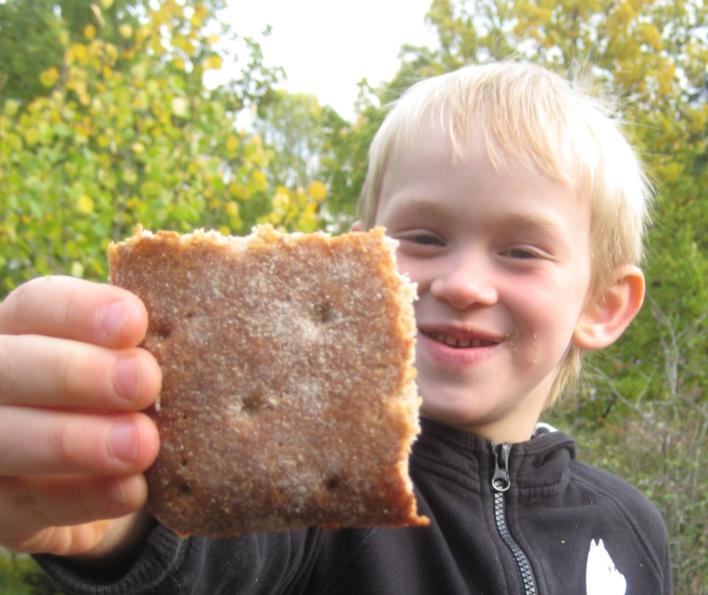 Att möta varje barn utifrån dess utvecklingsnivå, i en trygg och stimulerande miljö för utveckling och