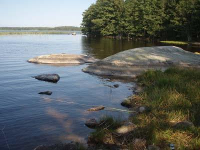 Bottensubstratet i de båda transekterna dominerades av sand till en knapp meters djup och därefter av findetritus. Siktdjupet uppmättes till 2,2 m och trådalger förekom mycket sparsamt. Bild 2.