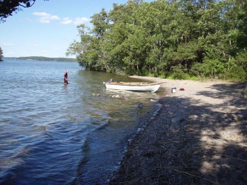 De båda transekterna vid Högholmen utgick från en grusstrand, se bild 17, och avslutades på fyra respektive två meters djup.