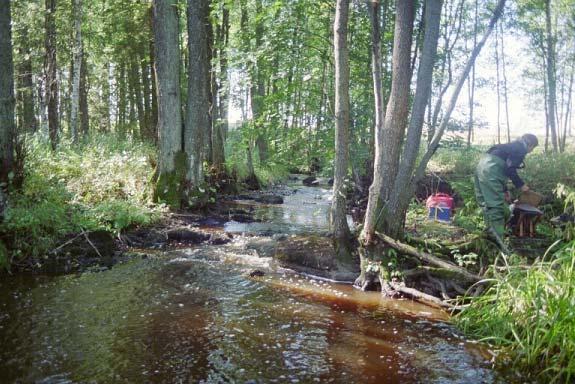 ateras i fisken (Länstyrelsen i Skaraborgs län 1979). Den terrestra miljön i Hovaåns dalgång anses ha höga naturvärden och bedöms vara av riksintresse (http://www.gullspang. empir.