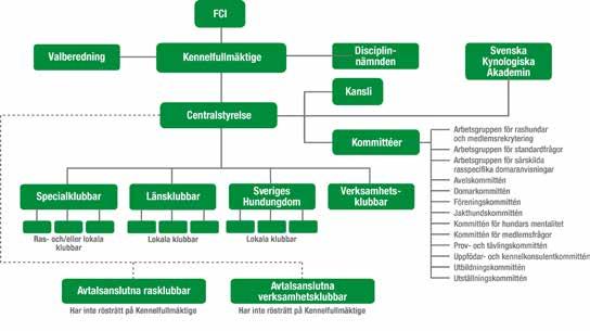 för särskilda domaranvisningar (SRD-K). SKKs kansli Arbetar med medlemsservice och beredning och handläggning av ärenden för Centralstyrelsen och dess kommittéer samt inför kennelfullmäktige.