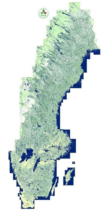 knn-sverige knn-sverige 2000 Landsat