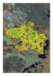 bilder LiDAR data från 2010