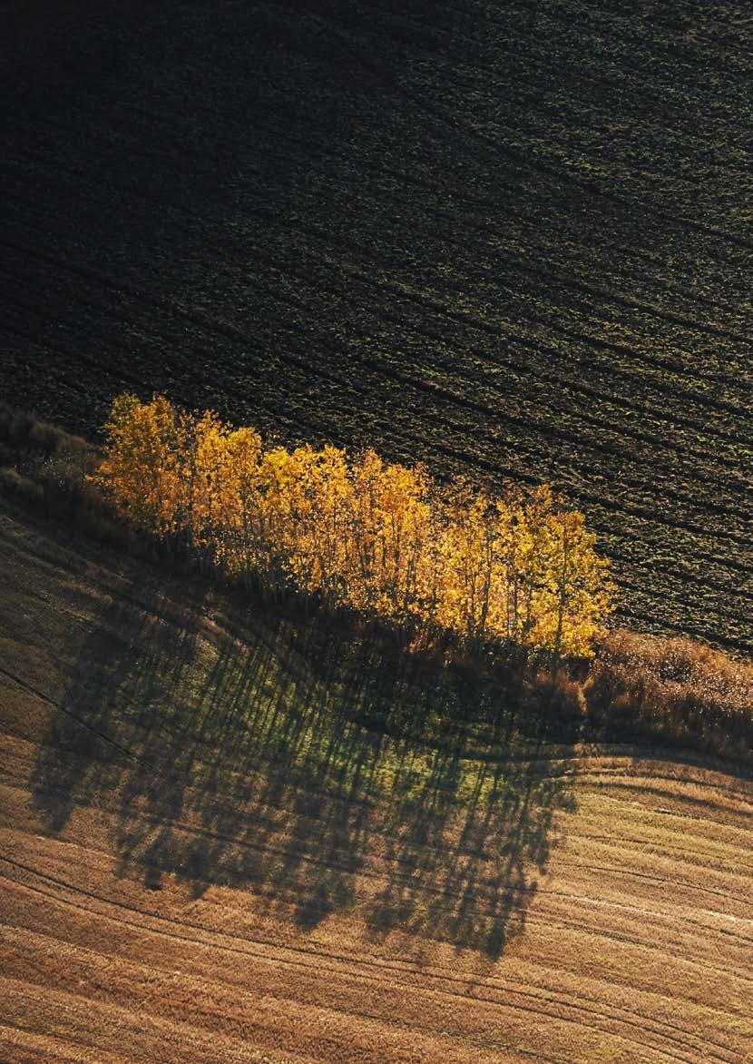 Landshypotek Årsredovisning 2013 För ett rikare