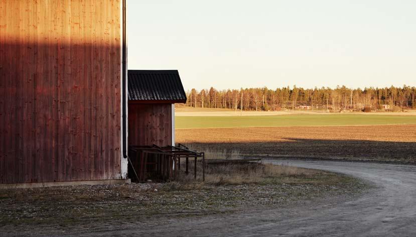 Växtodling Förutsättningarna inför 2013 var inte de bästa för svensk växtodling.