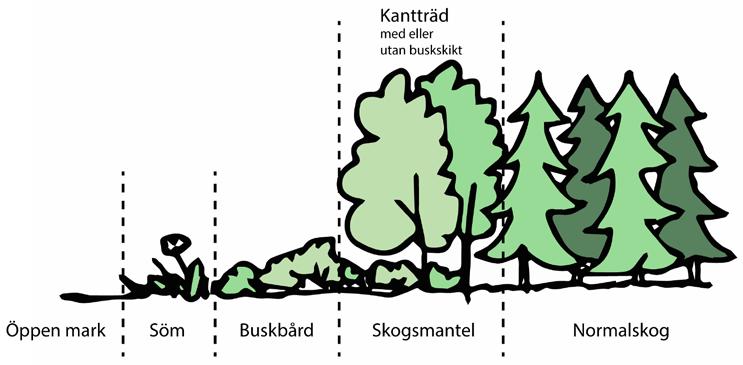 Figur 5. NILS fältinstruktion (SLU, 2016) för inventering av skogskanter/skogsbryn.