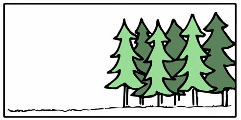 Detta är skogskanter utan buskar, istället börjar skog med högvuxna barreller lövträd omedelbart vid kanten av jordbruksmarken. Figur 6. Figur från NILS fältinstruktion.