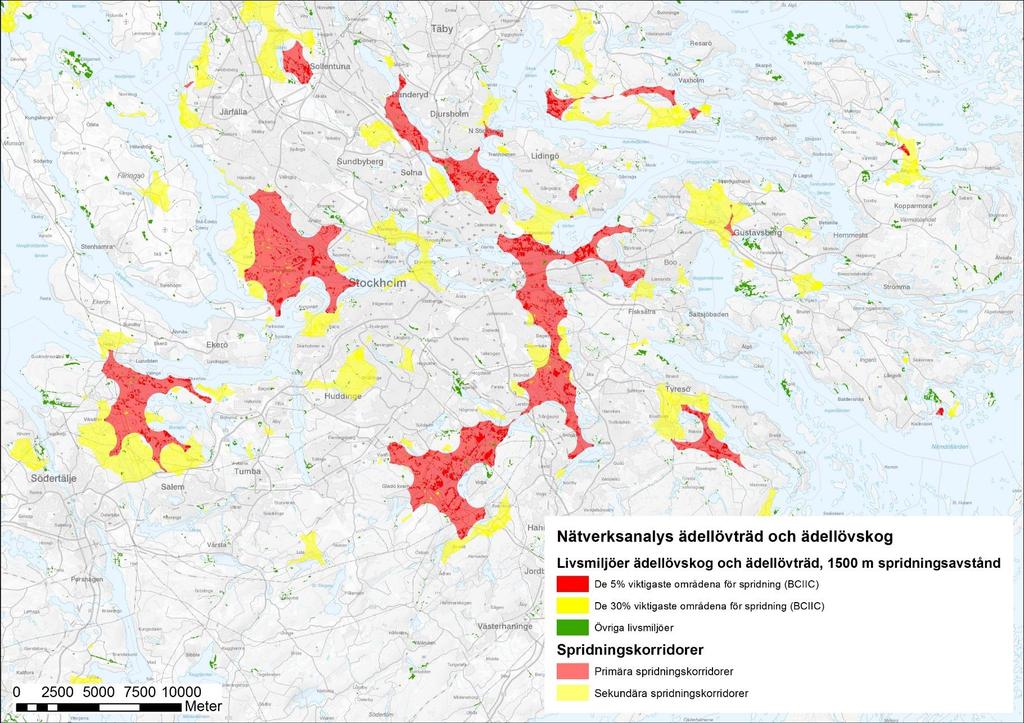 Nätverksanalys