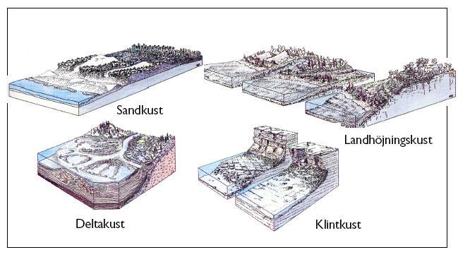 Deltakust karakteriseras av det material som älvar och åar avsatt där de mynnar i hav eller sjö.