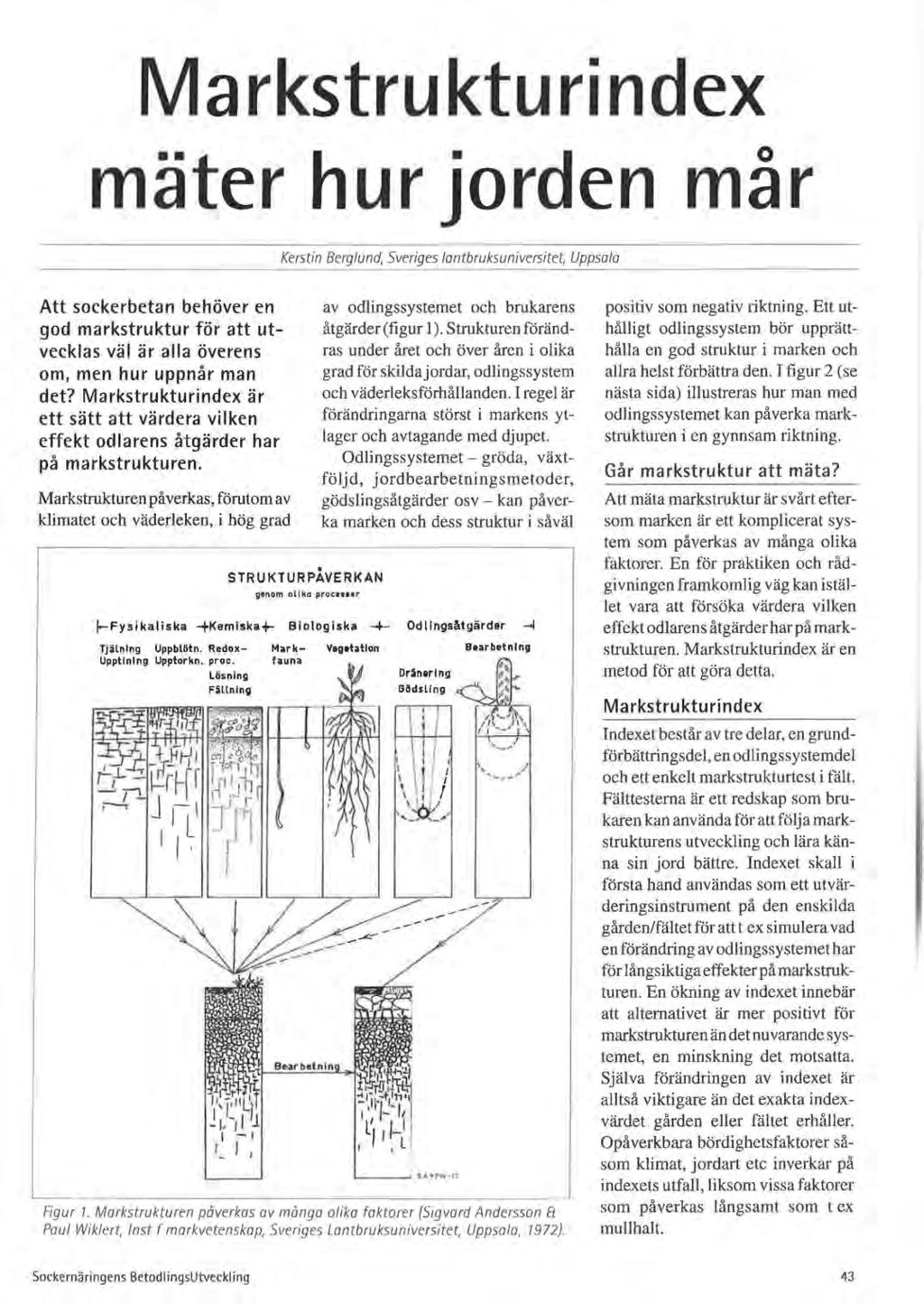 M a rkstru ktu ri ndex mäter hur jorden mår Kerstin Berglund,.