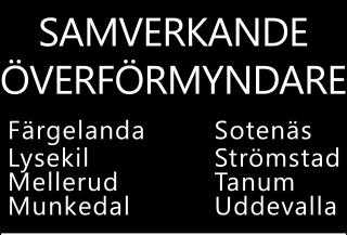 Anvisning för årsräkning 2017/ sluträkning Redovisning Om du är god man, förvaltare eller förordnad förmyndare ska du före den 1 mars året efter verksamhetsåret lämna en årsräkning och en redogörelse