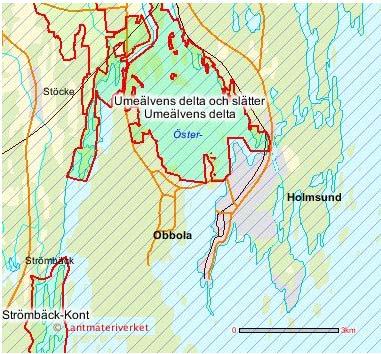 RAPPORT 15 (21) Figur 6 1 Umeälvens delta och slätter. SCA Obbolas verksamhet har tidigare inte bedömts medföra någon påverkan på Natura 2000 området.