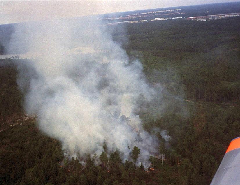 Skogsbrandflyg,